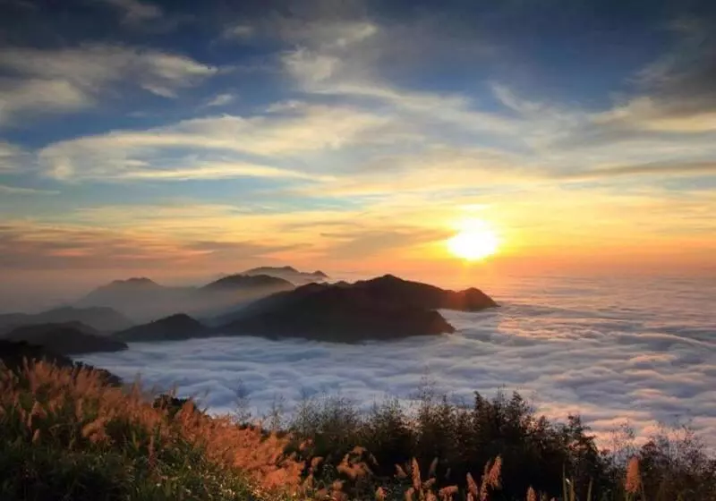 هتل H& Alishan Sunrise B&b