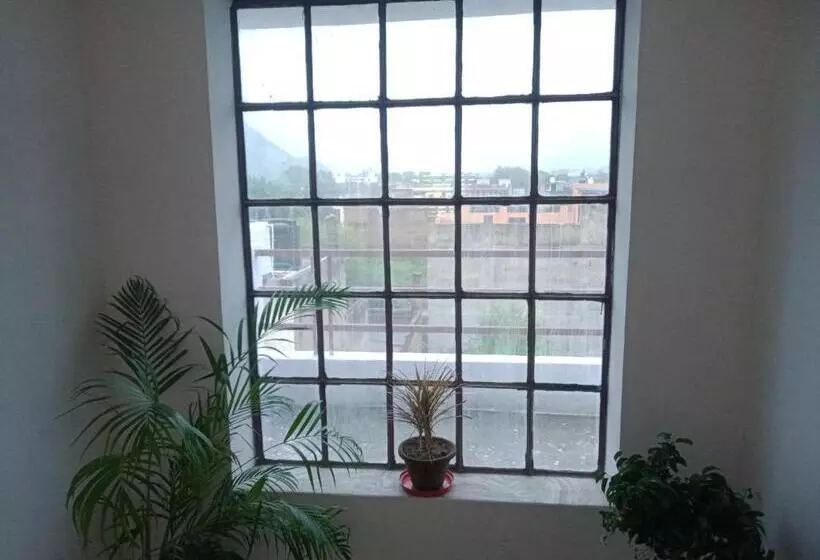 ペンション Cocoon Auberge