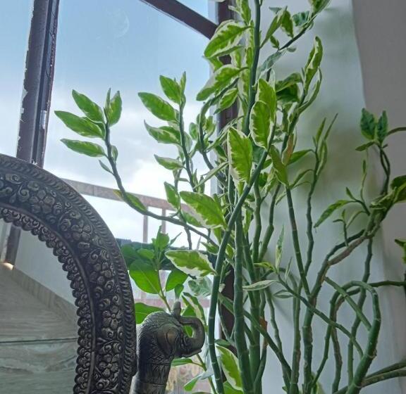 ペンション Cocoon Auberge