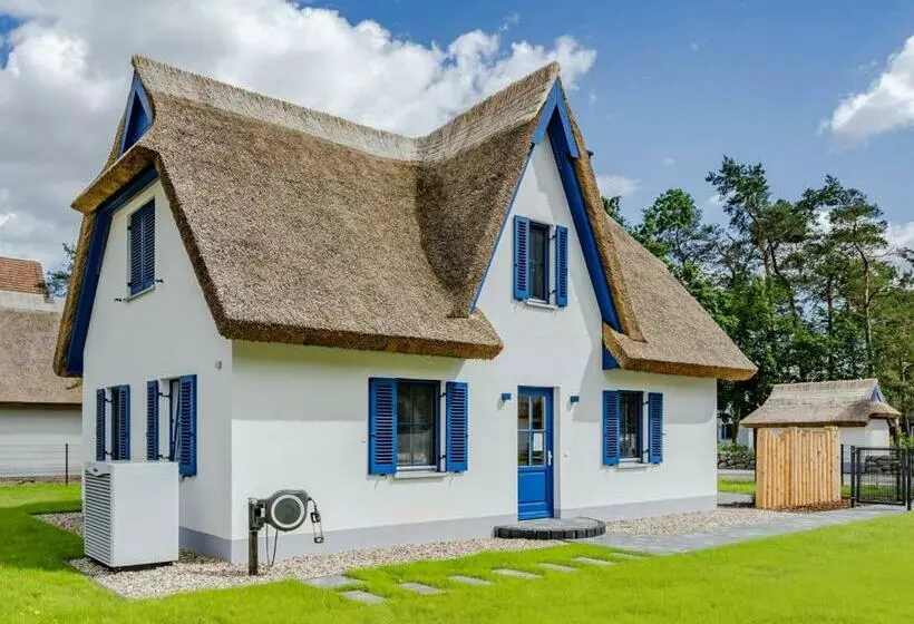 Störtebeker   Zirchow