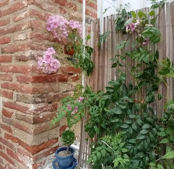 تختخواب و صبحانه Le Mas Palegry Chambres D Hôtes Perpignan