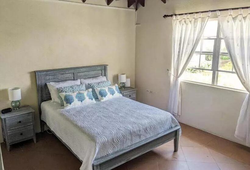 Breezy Ocean Front Condo Close To The Best Beaches