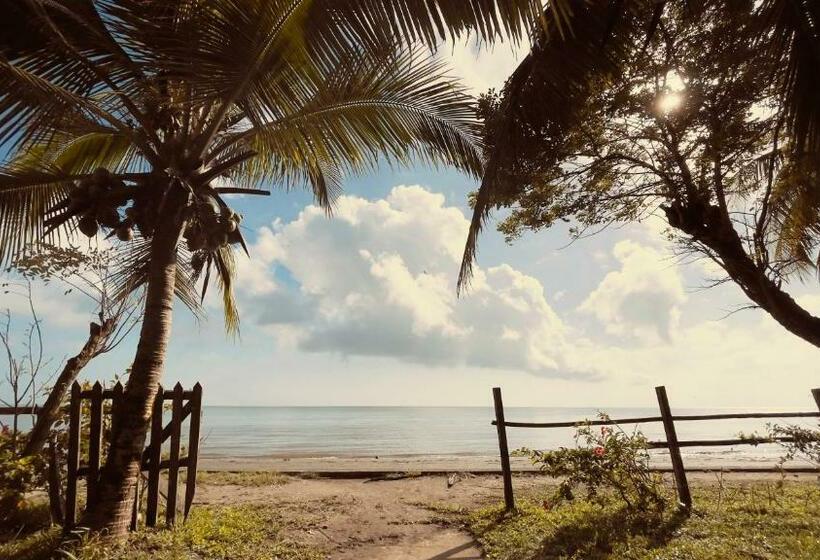 تختخواب و صبحانه Casa Tranquilo