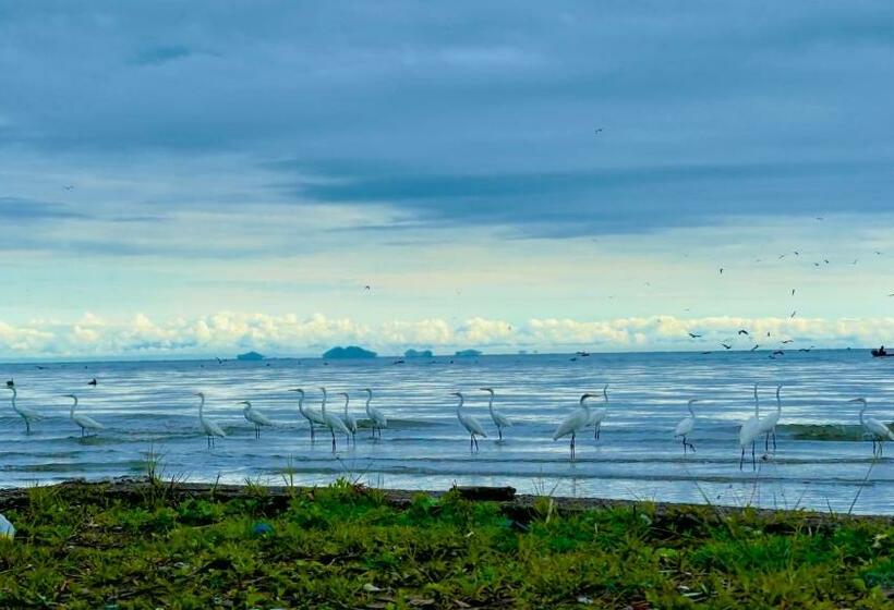 تختخواب و صبحانه Casa Tranquilo