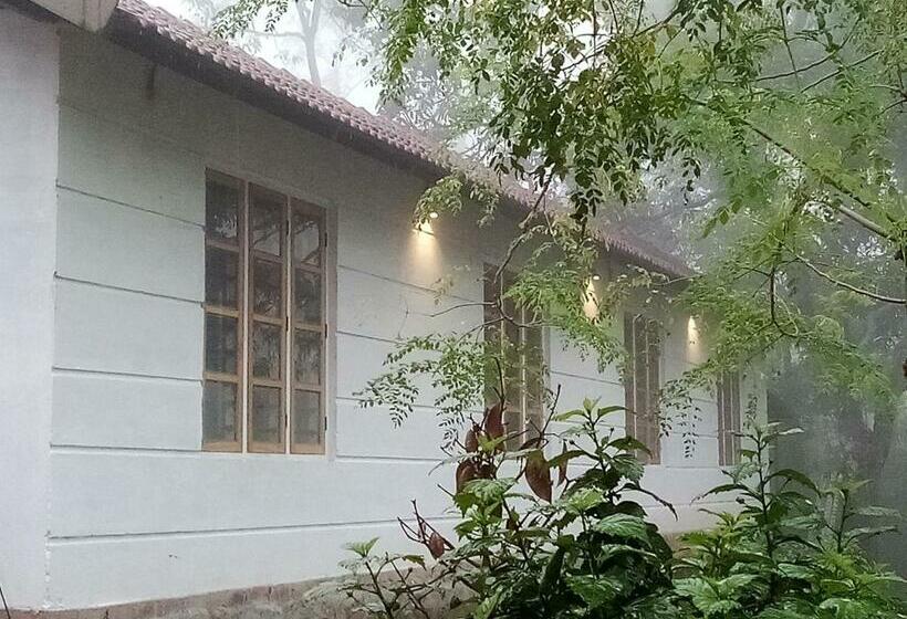 Bed and Breakfast River View Guest Rooms