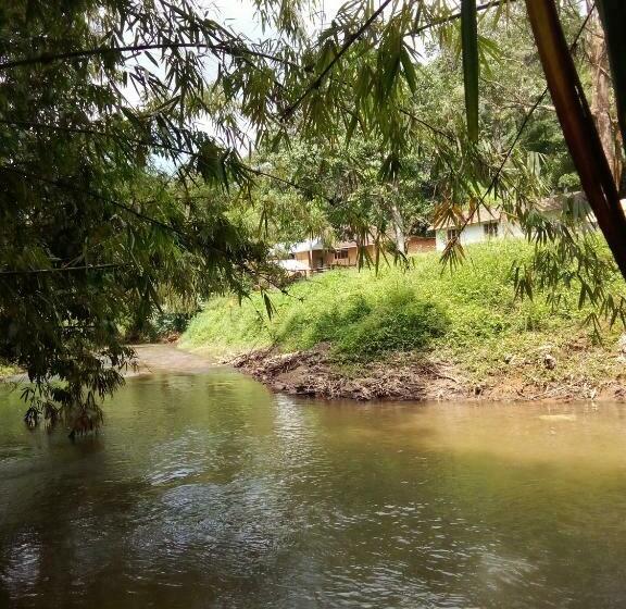 Bed and Breakfast River View Guest Rooms