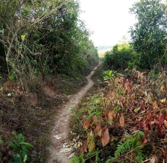 Bed and Breakfast River View Guest Rooms