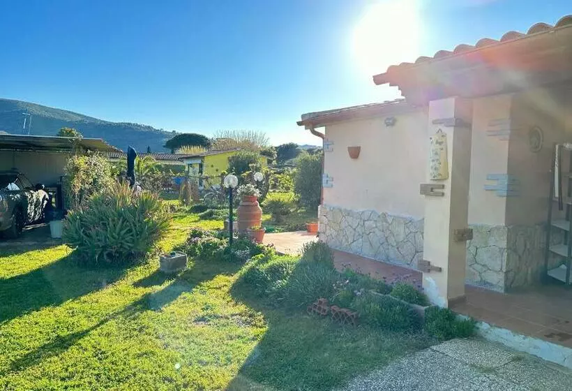 Casa Il Pino