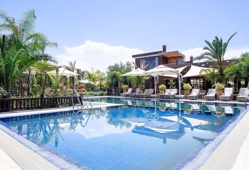 بنسيون The Lemonary Marrakech