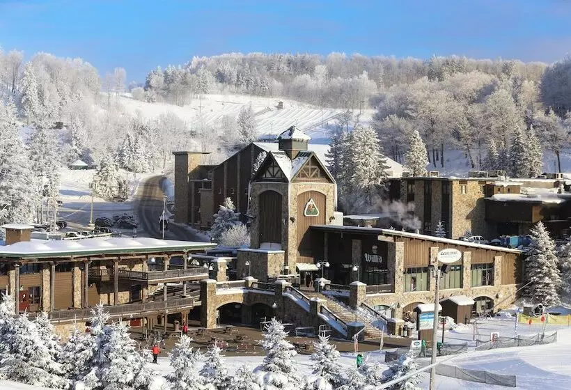 Seven Springs Resort Properties