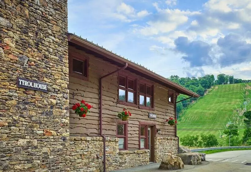 Seven Springs Resort Properties