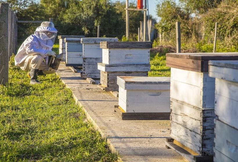 호스텔 Estancia San Agustin