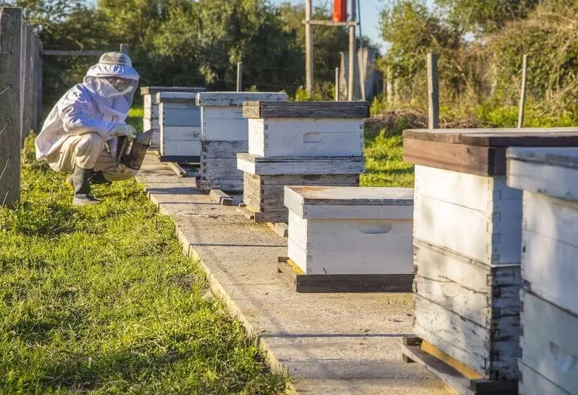 ユースホステル Estancia San Agustin