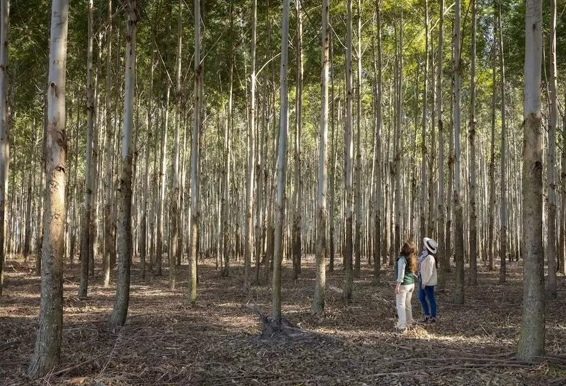 ユースホステル Estancia San Agustin