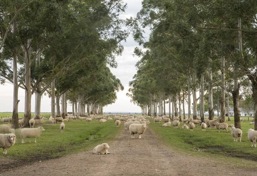 호스텔 Estancia San Agustin