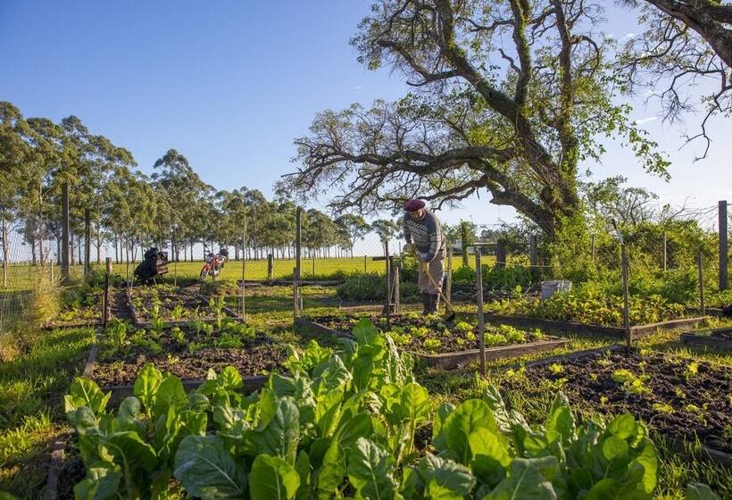 호스텔 Estancia San Agustin