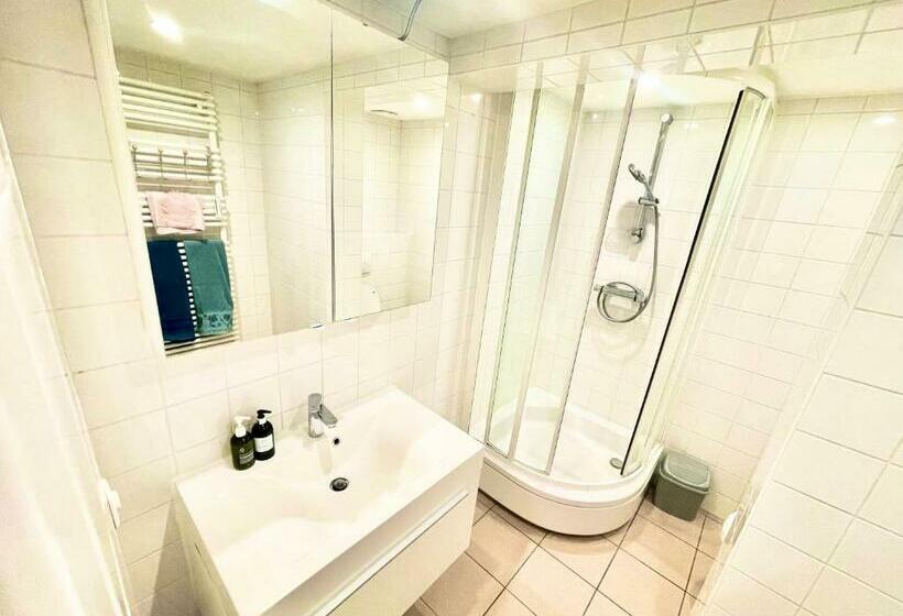 Avenue Louise   Appartement Prestigieux