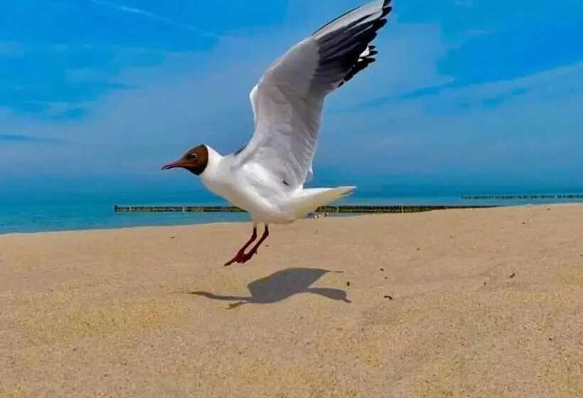 Ferienwohnung Zur Kühlung