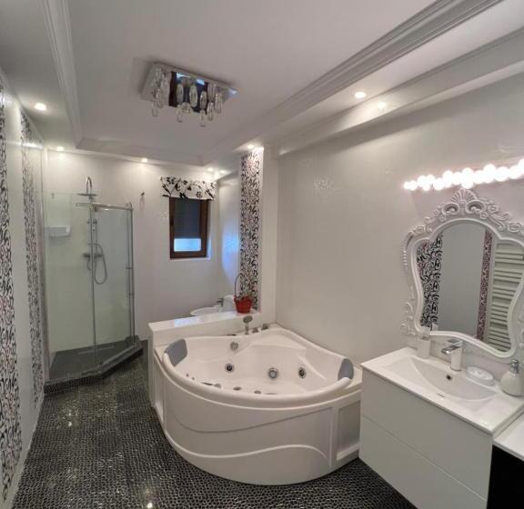 Pensão Ami Residence Bucharest Airport,therme&free Parking Otopeni