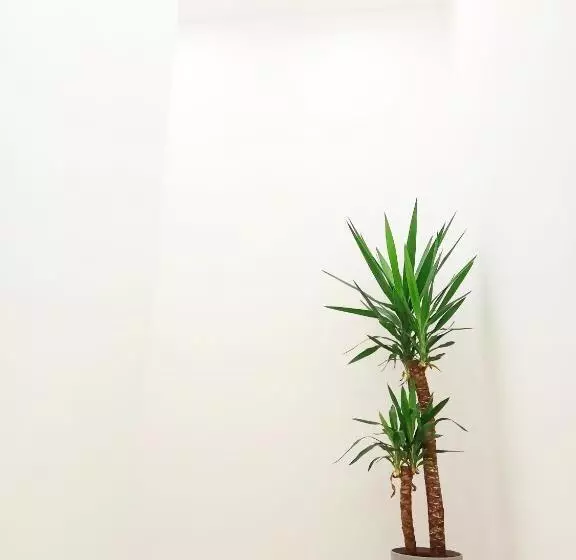 ベッドアンドブレックファースト Home Sicily