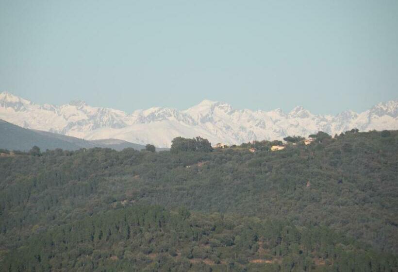 פנסיון Chambre Luxueuse Au Calme Avec Vue Panoramique Sur La Baie De Cannes Et L Estérel Immense Piscine