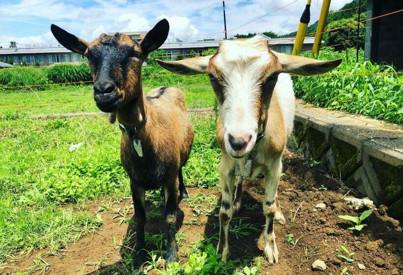 Tsuru Base   Vacation Stay 12709v