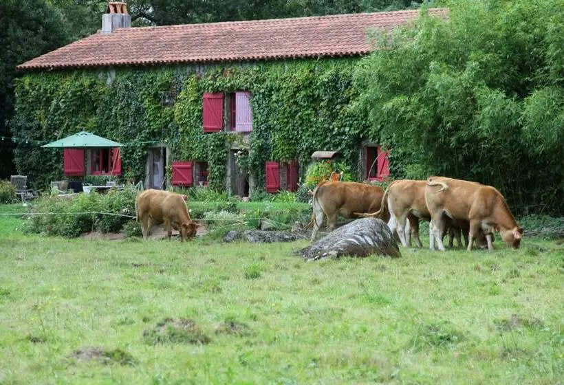 Gîte De La Roche