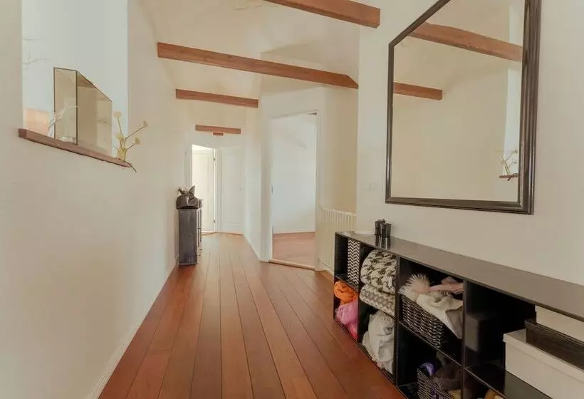 Penthouse / 4 Br / Downtown / Harbour View