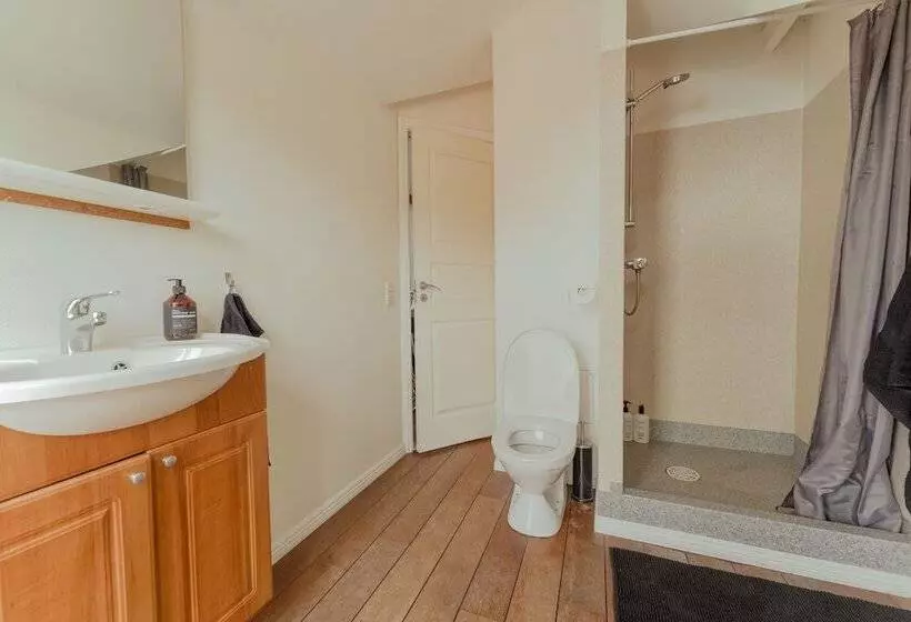 Penthouse / 4 Br / Downtown / Harbour View