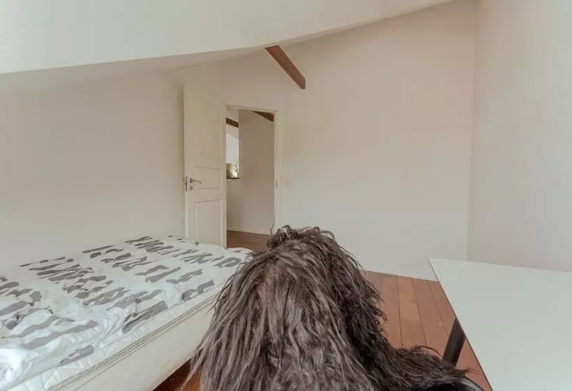 Penthouse / 4 Br / Downtown / Harbour View