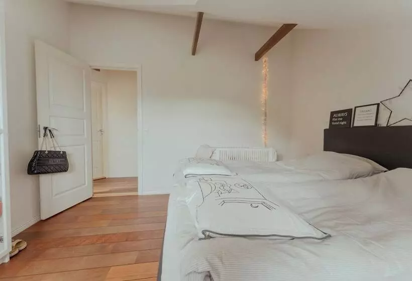 Penthouse / 4 Br / Downtown / Harbour View