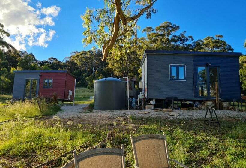 Отель Tiny Homes