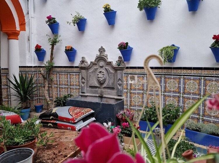 پانسیون Arc House Mezquita - Adults Only