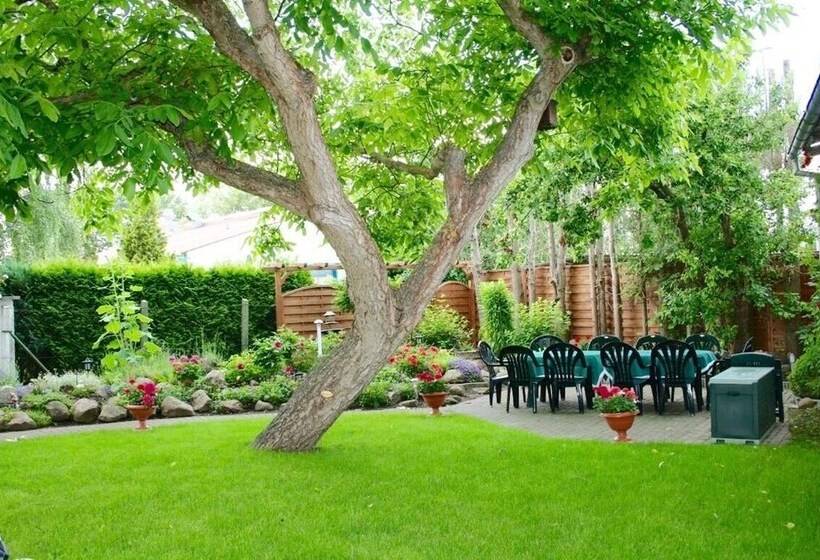 مبيت وإفطار & Pension Villa Camenz