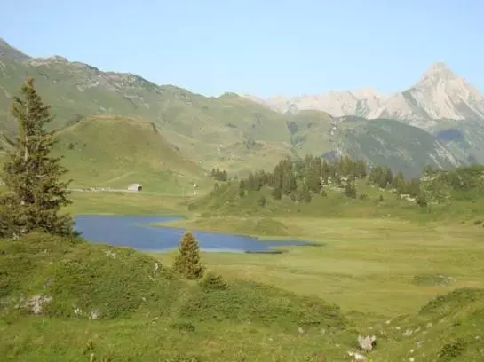 Bauernhof Oberhauser Maria U. Markus