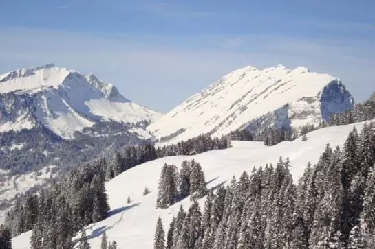 Bauernhof Oberhauser Maria U. Markus