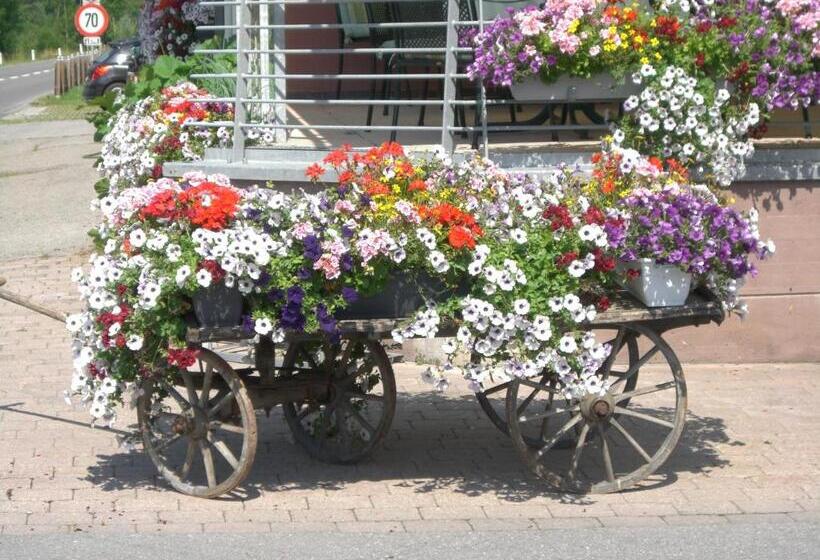 Отель Das Schiff In Den Bergen