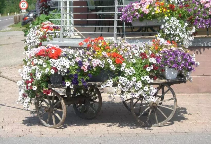 호텔 Das Schiff In Den Bergen