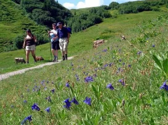 Hotel Erlebnisreich Natter