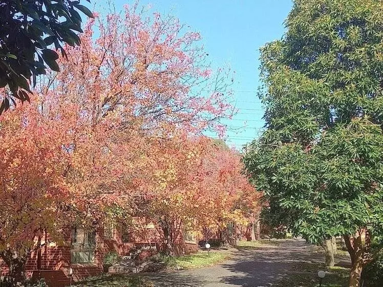 Mount Waverley Townhouses