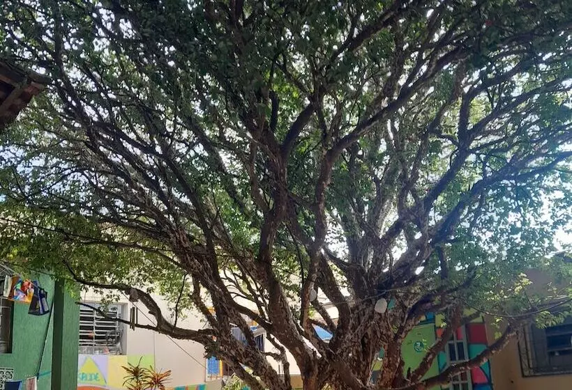 Hostel Jabuticaba