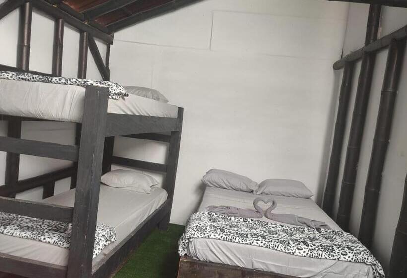 Colors Fantasy Hostel