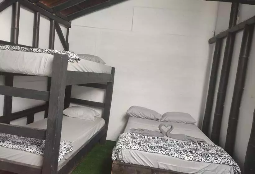 Colors Fantasy Hostel