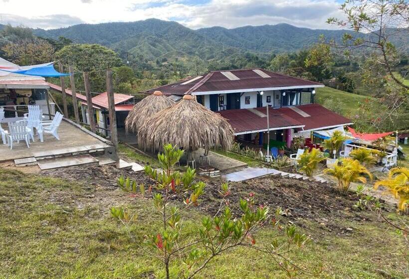 Colors Fantasy Hostel