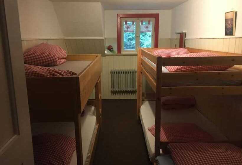 酒店 Bergwaldhütte