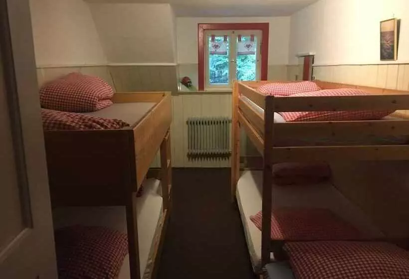 Hotelli Bergwaldhütte