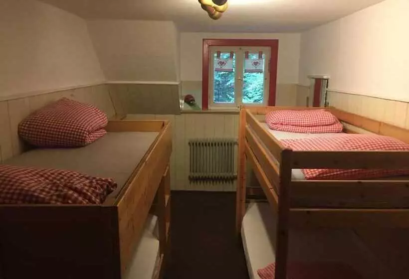 Hotelli Bergwaldhütte
