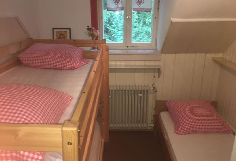 酒店 Bergwaldhütte