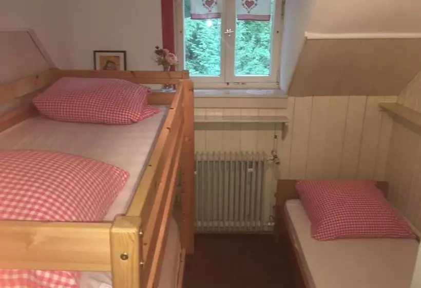 Hotelli Bergwaldhütte