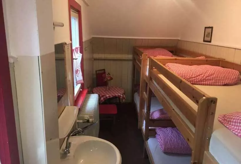 Hotelli Bergwaldhütte